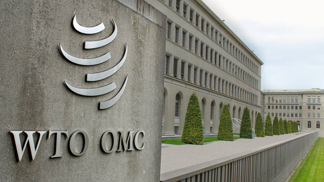 WTO Warns Global Economy Could Shrink 7% Amid Escalating US-China Trade ...